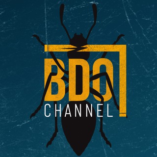 BDO_Channel