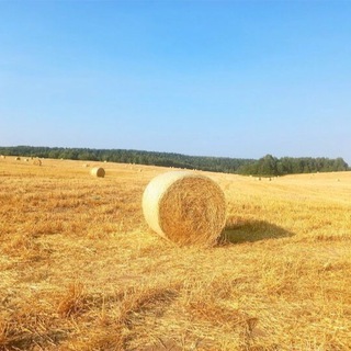 КРАСОТЫ РОССИИ