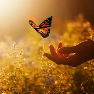 the beauty of nature