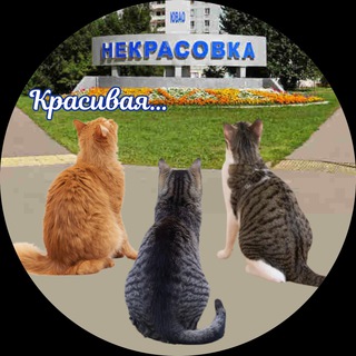 Красивая Некрасовка