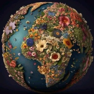 Beautiful 🌎 World