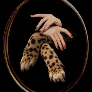 Особо прекрасна