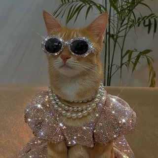 бьюти телега