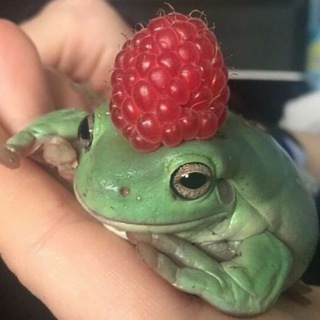 Тренды|Музыка|Пикчи|Еще много чего))))