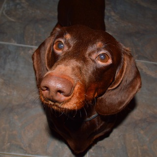 Канал имени Бебрика