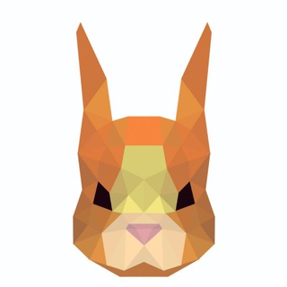 ♻️ Belki Посты