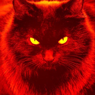 Белогорск-стёб.