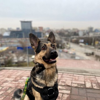 ᯓ 𝗕𝗲𝗿𝘁𝗮 𝗹𝗶𝗳𝗲 ᯓ