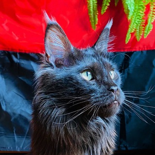 Канал з бєсовщіною