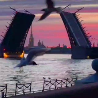 PRO Бесплатный Петербург