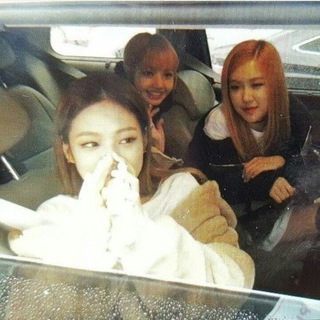 white 🌹 k-pop games