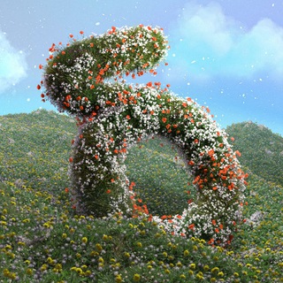 бета это дизайнерская