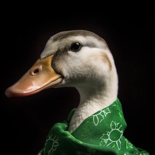 Без креатива