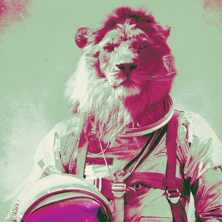 Историческая Бифуркация