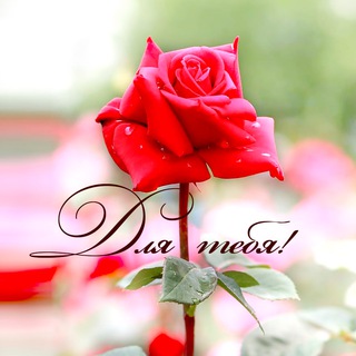 ОТКРЫТКИ🌹Поздравления