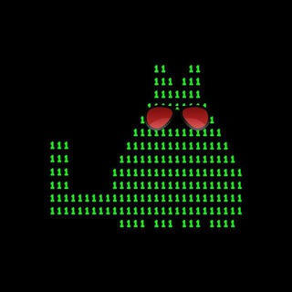 Двоичный кот