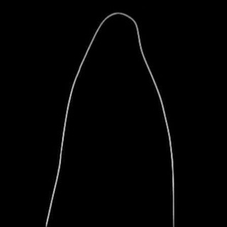 ᴘʀɪsᴛᴀɴɪsʜᴇ ᴄʜᴜᴢᴊᴅᴏʏ