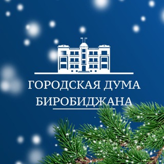 Городская Дума Биробиджана