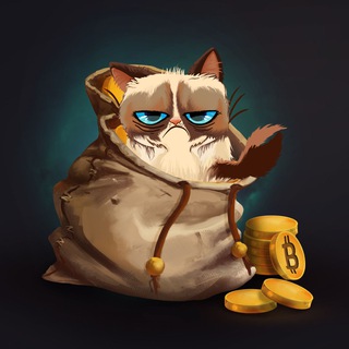 bitКот в мешке