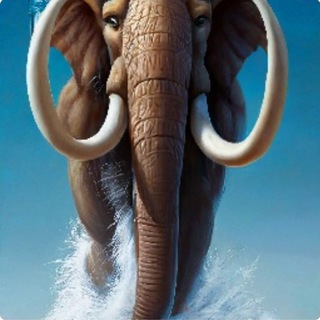 Бивень мамонта🦣найденный его отцом экскаваторщиком