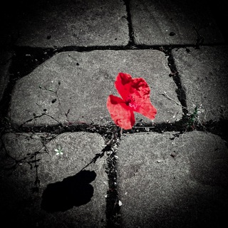 Бложек📝 мечтателя🧐