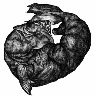 Блог между ног