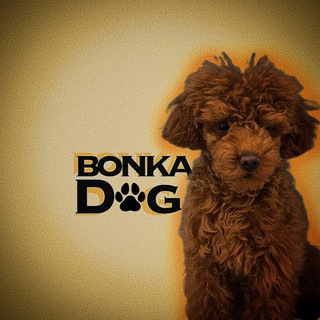 bonka.dog