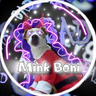 (❄️Норка Бони⛄)