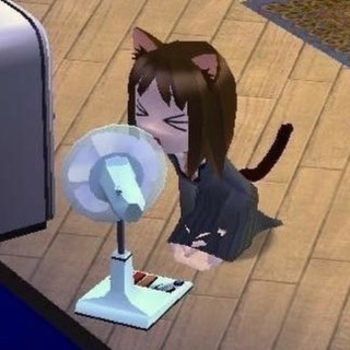 чмо мяукает