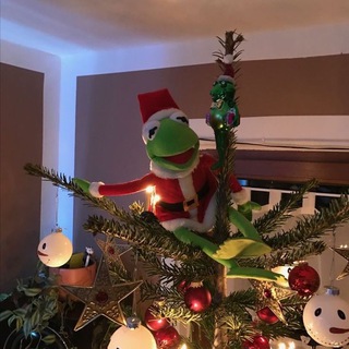 дарьинология