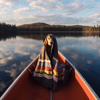 𝐵𝓊𝓇𝓎𝒶𝓉 𝒫𝑒𝒶𝓀𝓈