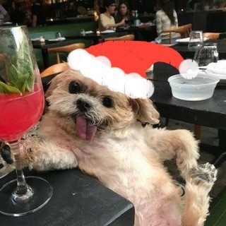 🐶 Юлёк-Бутылёк 🐶