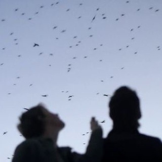 ДОЗОРНАЯ ПОМОГАЛКА