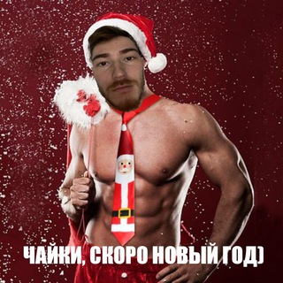 Чайка в Телеграм