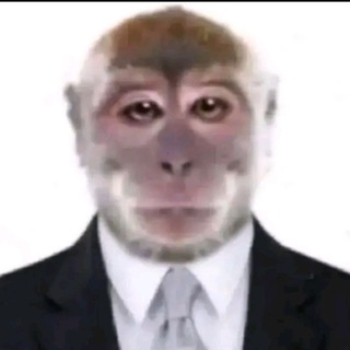 Дом Маши (для важных переговоров)