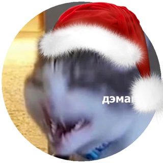 Выживание на матфаке