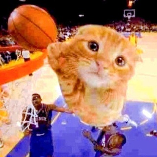 палатка писюнятинки