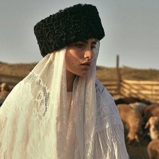 что думает КК?