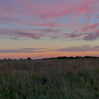 В моих планах на лето