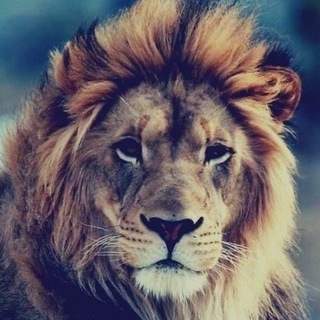 Успешный бизнес