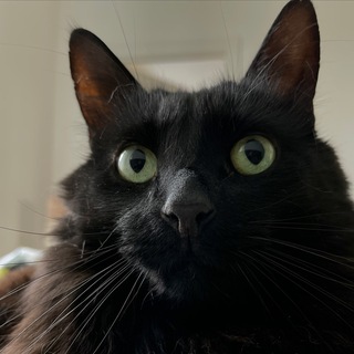 Разбиватель сердец Йозеф