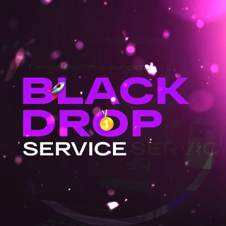 BLACK DROP SERVICE