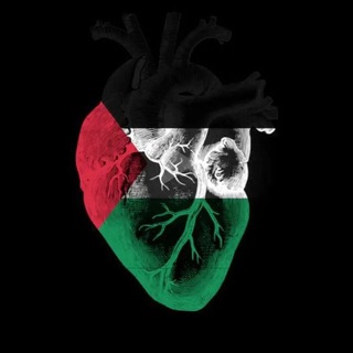 𝐁𝐋𝐀𝐆𝐎 🇵🇸