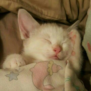 вещички с WB💗