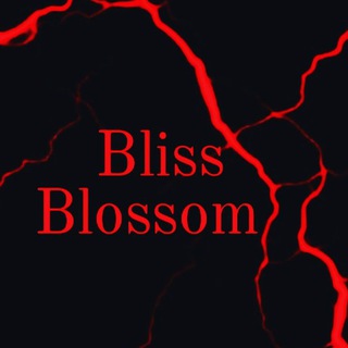 Bliss Blossom⚡️