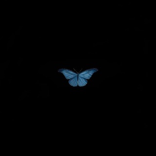 𝓑𝓵𝓸𝓸𝓭_𝓶𝓮𝓷𝔂