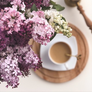 🌸BLOOMING HOME🌸