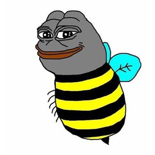 Что там у БАШКИР ?