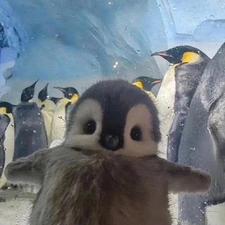 𝗕𝗡𝗞𝗥𝗟𝗟