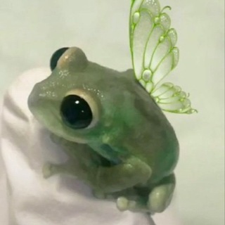 Дед инсайдерские записки